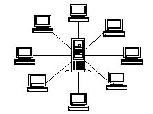 第四章计算机网络—电子商务网上购物(图13)